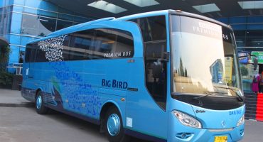 Bus Pariwisata Big Bird