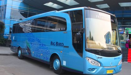 Bus Pariwisata Big Bird