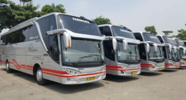 Bus Pariwisata White Horse