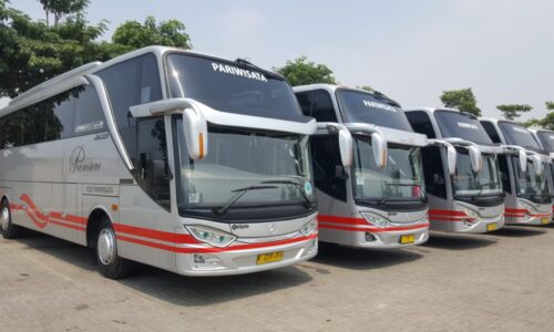 Bus Pariwisata White Horse