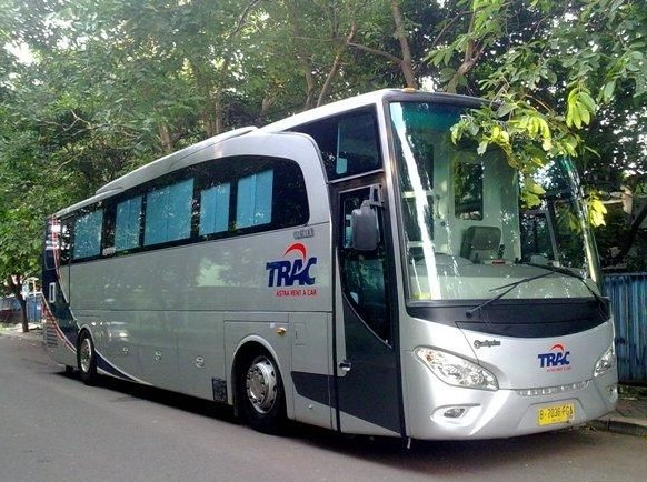 sewa bus pariwisata luxury