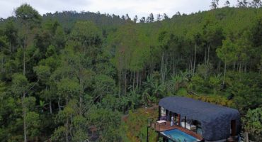 Vila Bubu Jungle - Sayang Manuk