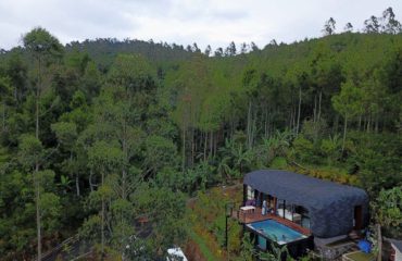 Vila Bubu Jungle - Sayang Manuk