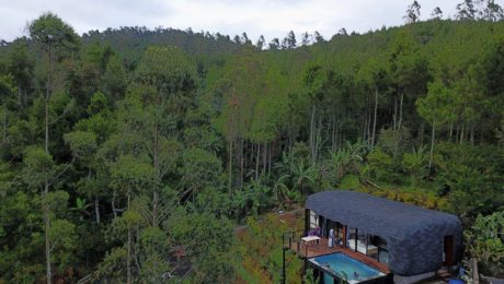 Vila Bubu Jungle - Sayang Manuk