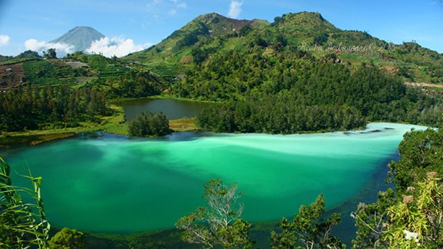 TELAGA WARNA