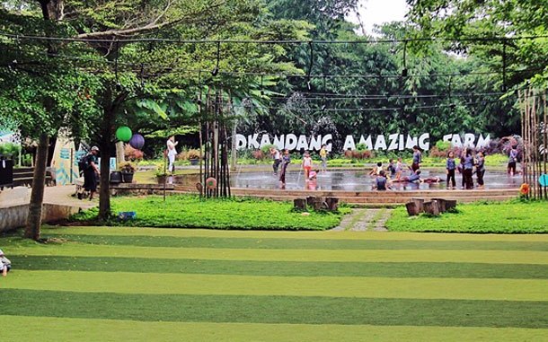 D'KANDANG AMAZING FARM