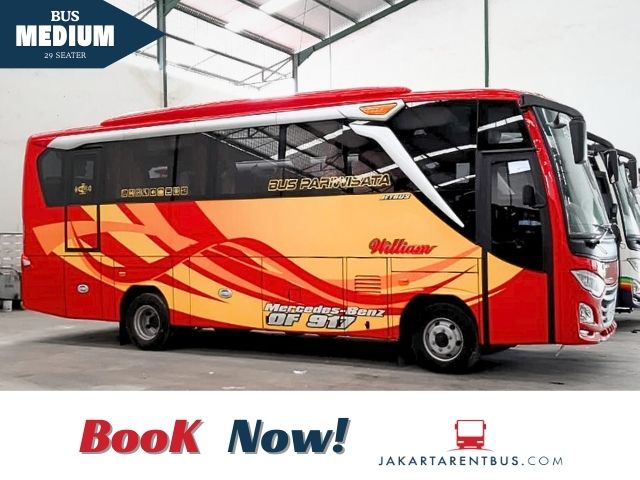 Bus pariwisata William Medium 31 Seats