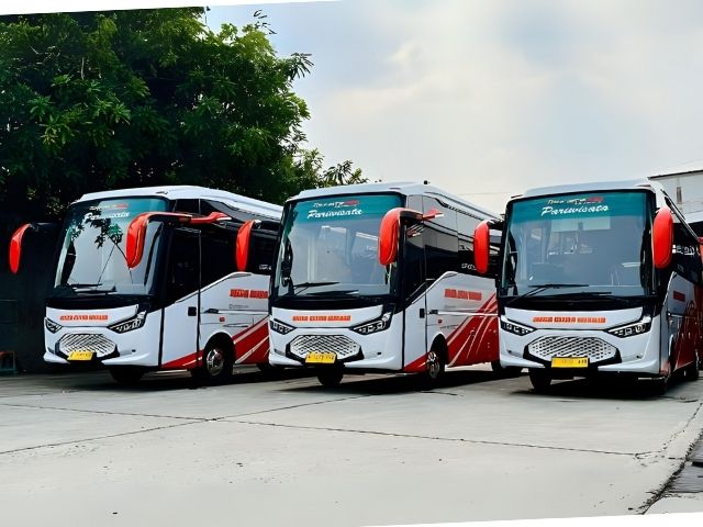 Medium Bus 2023 megacitra Wisata