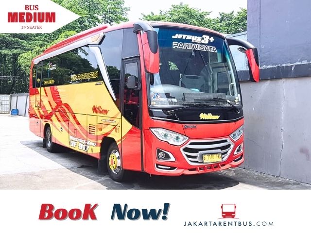 Bus Pariwisata Wiliiam Trans 31 Seats