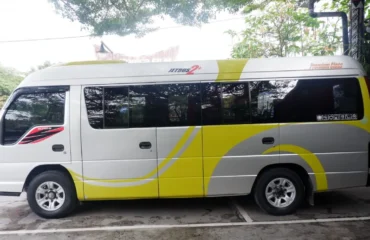 bus mini pariwisata