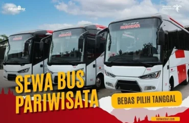 Keunggulan Sewa Bus Pariwisata Malang untuk Semua Jenis Perjalanan