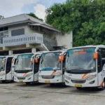 Sewa Bus Medium