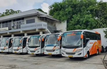Sewa Bus Medium