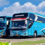Sewa Bus Pariwisata Murah