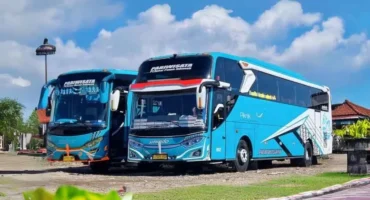 Sewa Bus Pariwisata Murah