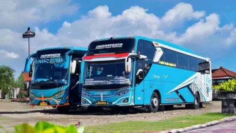 Sewa Bus Pariwisata Murah