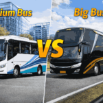 medium bus vs big bus